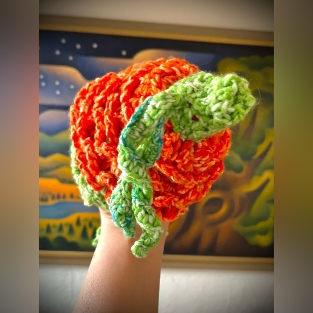 𝅺ADORABLE HANDMADE CROCHETED PUMPKIN HAT - Picture 3 of 4